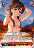 深紅の心化粧 小早川紗枝[WS_IMC/W115-T03TD]