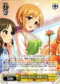 重ねた花びら 相葉夕美[WS_IMC/W115-T61TD]