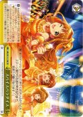 スパイスパラダイス[WS_IMC/W115-T68TD]