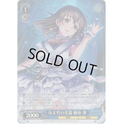 画像1: 【Co仕様】なよ竹の美器 藤原 肇[WS_IMC/W115-T33Co]