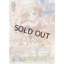 画像1: 【Pa仕様】重ねた花びら 相葉夕美[WS_IMC/W115-T61Pa]