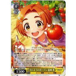画像1: たいようのガーデン 龍崎 薫[WS_IMC/WE51-07N]