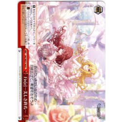 画像1: Fin[e]〜美しき終焉〜[WS_IMC/WE51-46N]