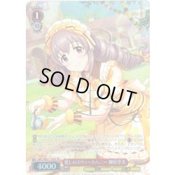 画像1: 【SP仕様】愛しのスウィートハニー 榊原里美[WS_IMC/WE51-35SP]