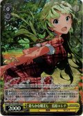 【BNP仕様】柔らかな眼差し　島原エレナ[WS_IMS/S93-022BNP]