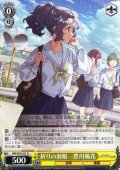 祈りの羽根　豊川風花 [WS_IMS/SE55-02N]