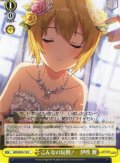 こんなの反則！　伊吹 翼 [WS_IMS/SE55-19N]
