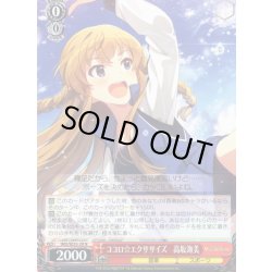 画像1: ココロ☆エクササイズ　高坂海美 [WS_IMS/SE55-28N]