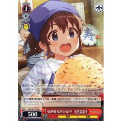 画像1: SUPER SIZE LOVE!!　佐竹美奈子 [WS_IMS/SE55-31N]