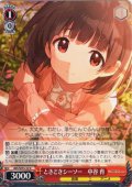 ときどきシーソー　中谷 育 [WS_IMS/SE55-32N]