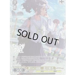 画像1: 【BNP仕様】祈りの羽根　豊川風花 [WS_IMS/SE55-02BNP]