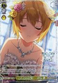 【BNP仕様】こんなの反則！　伊吹 翼 [WS_IMS/SE55-19BNP]