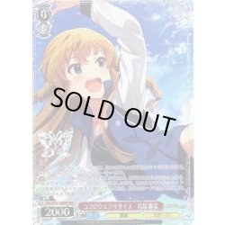 画像1: 【BNP仕様】ココロ☆エクササイズ　高坂海美 [WS_IMS/SE55-28BNP]