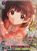 【BNP仕様】ときどきシーソー　中谷 育 [WS_IMS/SE55-32BNP]