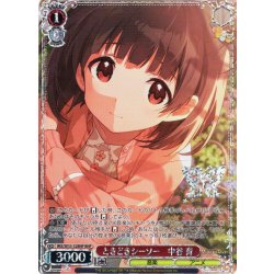 画像1: 【BNP仕様】ときどきシーソー　中谷 育 [WS_IMS/SE55-32BNP]