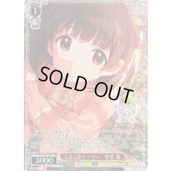 画像1: 【BNP仕様】ときどきシーソー　中谷 育 [WS_IMS/SE55-32BNP]