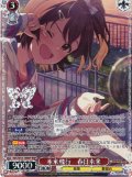 【BNP仕様】未来飛行　春日未来 [WS_IMS/SE55-39BNP]