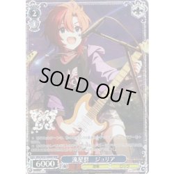 画像1: 【BNP仕様】流星群　ジュリア [WS_IMS/SE55-58BNP]