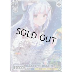 画像1: 【BNP仕様】さかしまの言葉　白石 紬 [WS_IMS/SE55-60BNP]