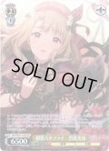 【SP仕様】初恋バタフライ　宮尾美也 [WS_IMS/SE55-15SP]