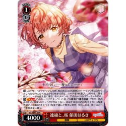 画像1: 連綿と、桜 郁田はるき[WS_ISC/SE53-40N]