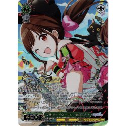 画像1: 【WIR仕様】砂糖づけ・ビターエンド 園田智代子[WS_ISC/SE53-25WIR]