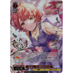 画像1: 【WIR仕様】連綿と、桜 郁田はるき[WS_ISC/SE53-40WIR]