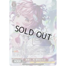 画像1: 【SP仕様】連綿と、桜 郁田はるき[WS_ISC/SE53-40SP]