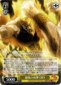 最後の攻撃 DIO[WS_JJ/SE41-13N]