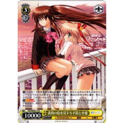 画像1: 黄昏の街を見下ろす鈴と小毬[WS_Klb/WE50-13N]