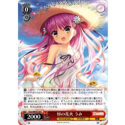 画像1: 昼の花火 うみ[WS_Ksm/WE50-38N]