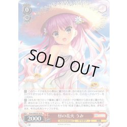 画像1: 昼の花火 うみ[WS_Ksm/WE50-38N]