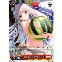 画像1: 海を見つめる少女 しろは[WS_Ksm/WE50-41N]