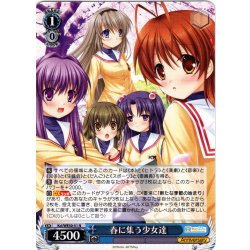 画像1: 春に集う少女達[WS_Kcl/WE50-51N]