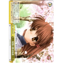 画像1: 桜舞い散る坂道[WS_Kcl/W78-039CR]