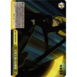 画像1: 完璧主義のお嬢様[WS_KJ8/S123-032CR]
