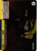 防衛隊式斧術[WS_KJ8/S123-033CR]