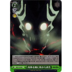 画像1: 肉体を囮に核から再生[WS_KJ8/S123-064C]