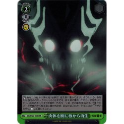 画像1: 【SR仕様(C)】肉体を囮に核から再生[WS_KJ8/S123-064S]