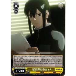 画像1: 選別試験 亜白ミナ[WS_KJ8/S123-T03TD]