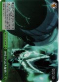 【RRR仕様】歴史に残る大怪獣!?[WS_KJ8/S123-T20R]