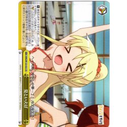 画像1: 夏といえば[WS_KMS/W133-032CR]