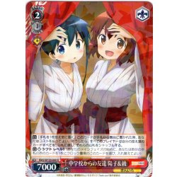 画像1: 中学校からの友達 陽子＆綾[WS_KMS/W133-060R]