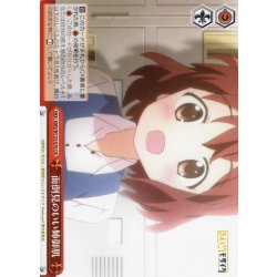 画像1: 面倒見のいい姉御肌[WS_KMS/W133-076CR]
