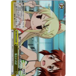 画像1: 【RRR仕様】夏といえば[WS_KMS/W133-032R]