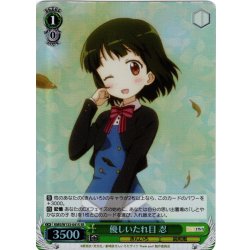 画像1: 【SR仕様(U)】優しいたれ目 忍[WS_KMS/W133-041S]