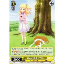 画像1: 選んだ未来 アリス[WS_KMS/W133-T04TD]