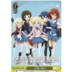 画像1: 【SR仕様】宝物の毎日[WS_KMS/W133-T07S]