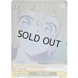 画像1: 【SR仕様(U)】突然の訪問[WS_KNK/W132-013S]