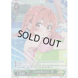 画像1: 【SR仕様(R)】自分を変えたい 墨[WS_KNK/W132-020S]